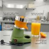 PRESS AGRUME ELECTRIQUE 250W